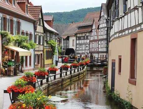 Bild zu porträt Stadt Annweiler