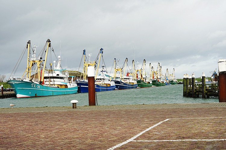 Haven Oudeschild Texel